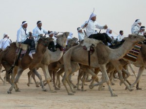 Carrera de camellos